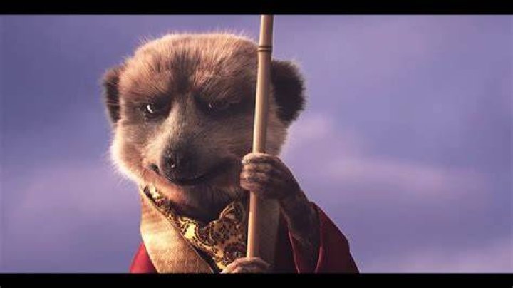 Meerkat Courting Hollywood With New Executive Hire (Exclusive