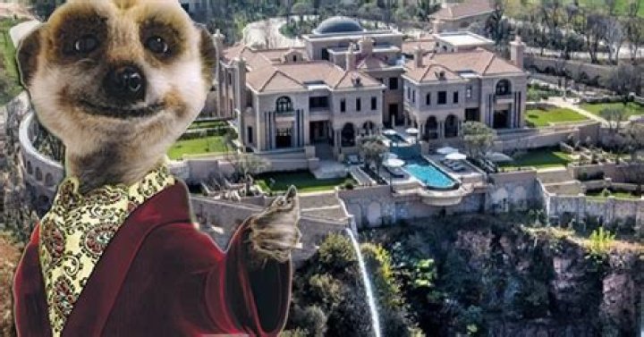 Meerkat millionaire splashes out on one of world's biggest homes