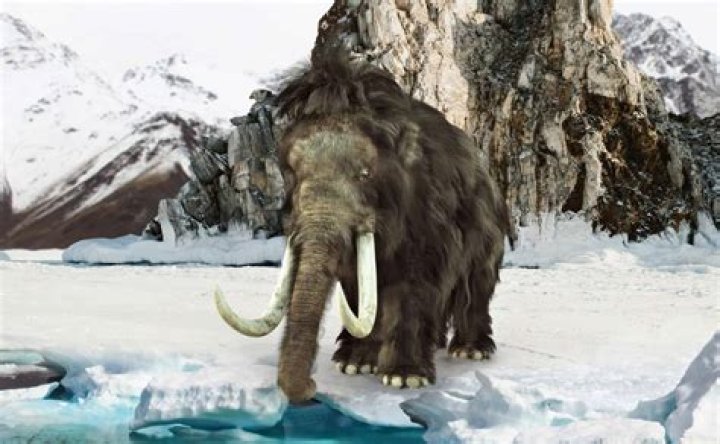 Meet Manny, The Majestic Mammoth Of The Ice Age