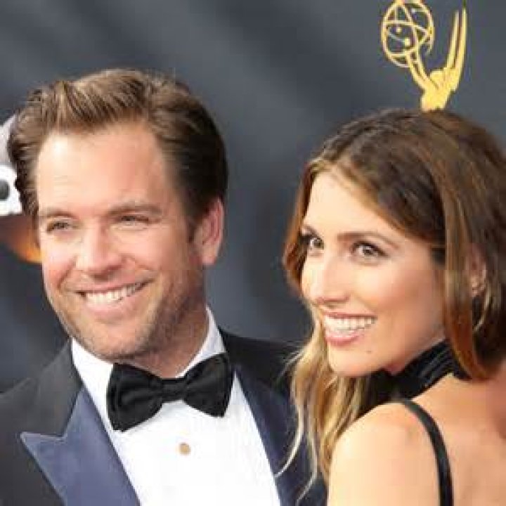 Meet NCIS' Michael Weatherly's awardwinning wife and she's