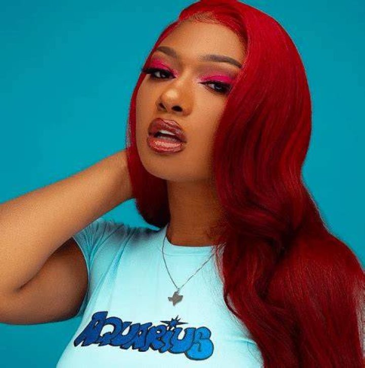 Megan Thee Stallion Wiki, Bio, Facts, Age, Height, Boyfriend