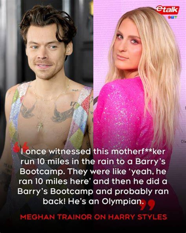 Meghan Trainor says Harry Styles was 'terrifying' to work with as the