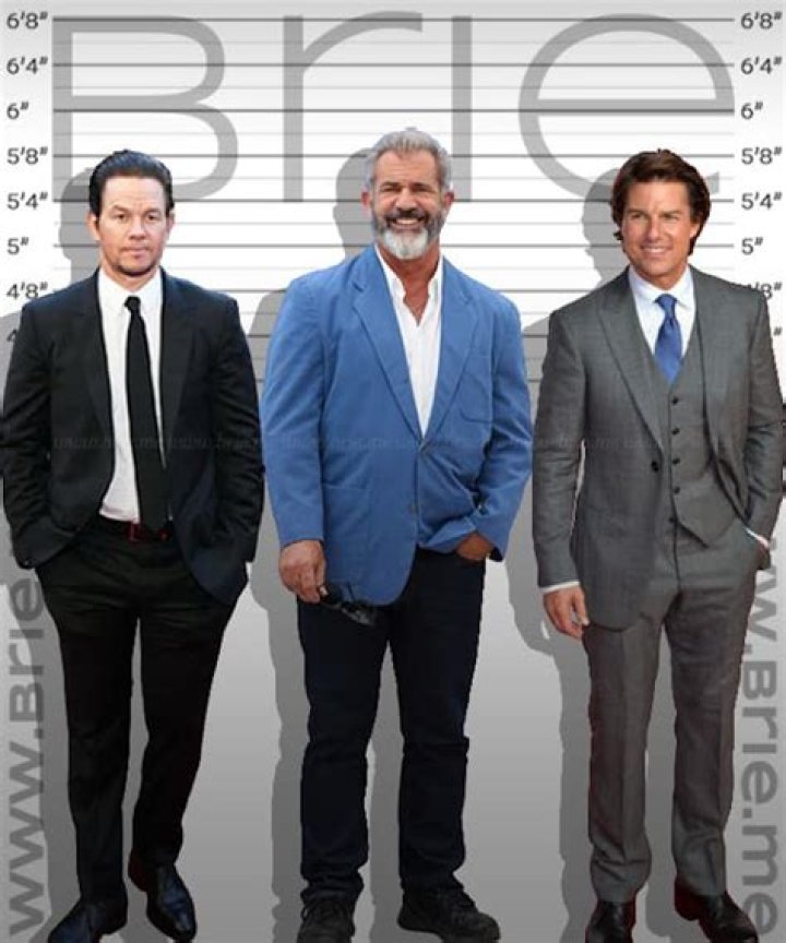 Mel Gibson Height Brie
