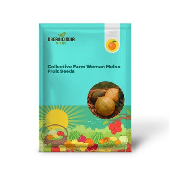 Melon Collective Farmers Wife Heirloom Seeds NON GMO for Etsy