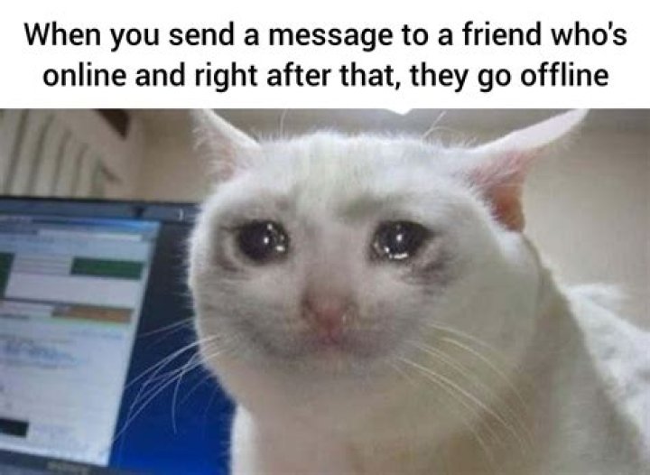 MEMES image memes at