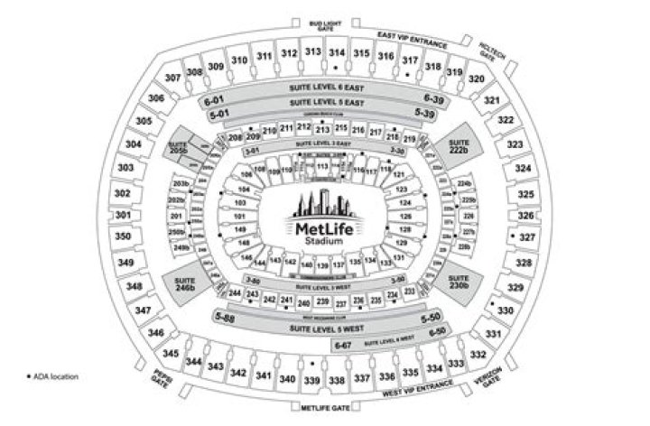 Metlife Stadium seating chart is up. r/TaylorSwift