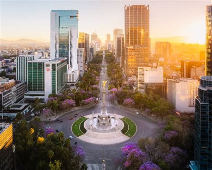 Mexico City with Carlos Anthony Modern Adventure