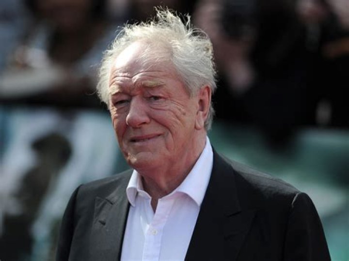 Michael Gambon's Personal Life How Did The 'Harry Potter' Actor