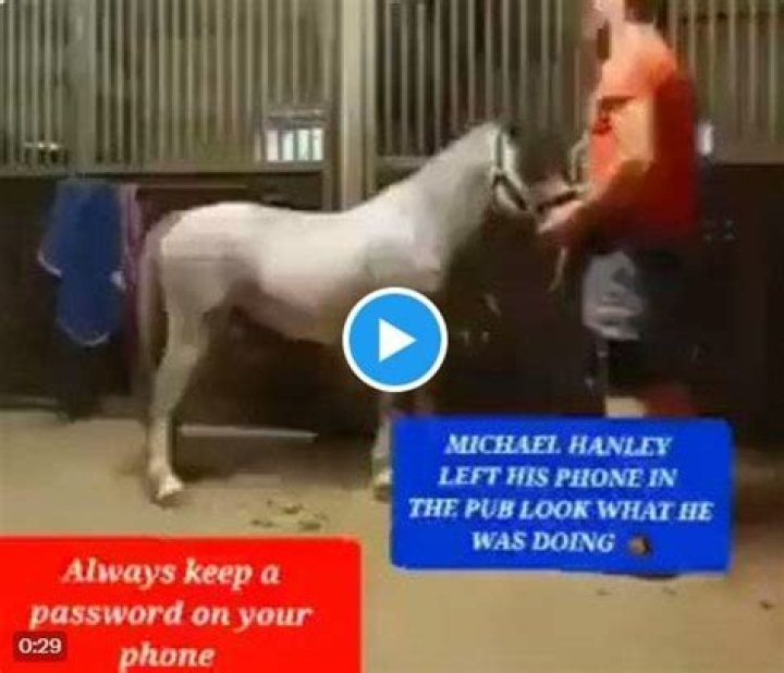 Michael Hanley Horse Video Twitter, Watch Michael Henley The Viral