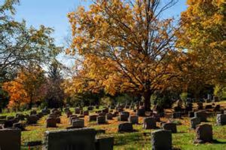 Michigan Paul Goike Death And Obituary Family Mourns The Loss