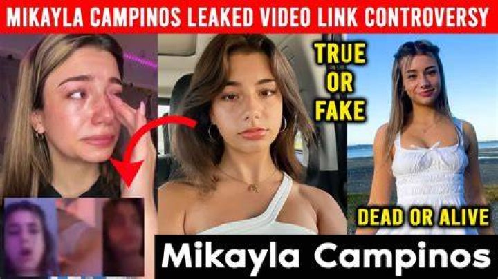 Mikayla Campinos Pickles's Twitter Video Goes Viral On Social Media
