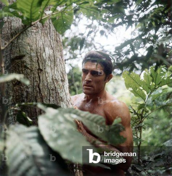 Mike Henry, Brawny Tarzan & Junior Justice, Dies 84