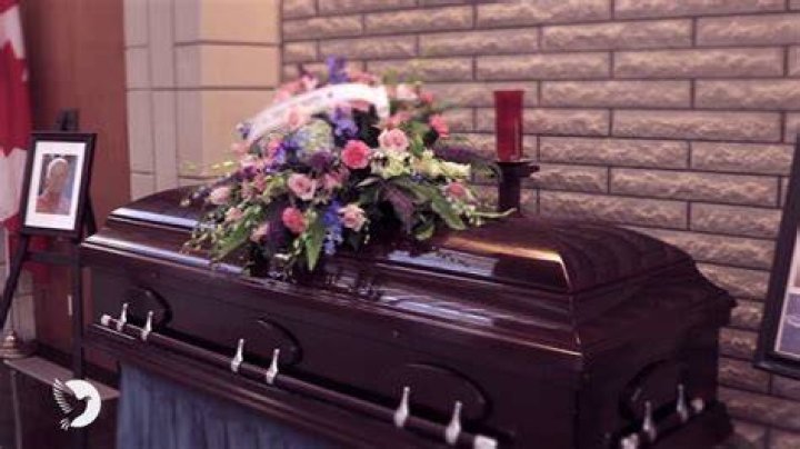 Mike Sebestyen Obituary Death Cause Family Mourns The Loss