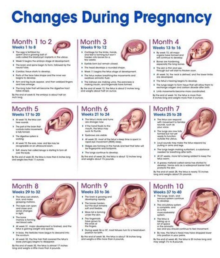 Miranda Lambert's Pregnancy Journey: Uncovering The Unseen