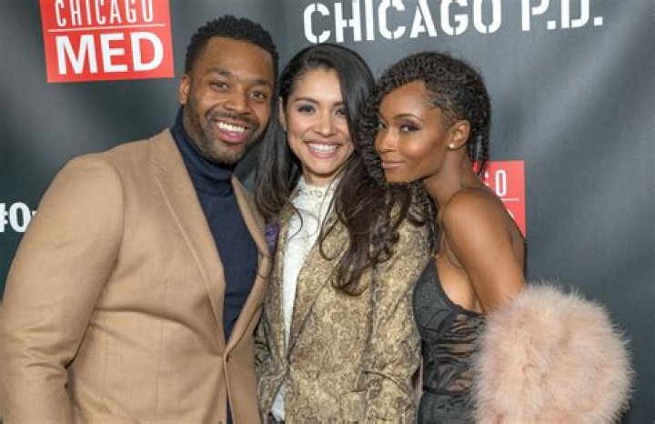Miranda Rae Mayo NBC One Chicago Party 10/31/2017 &bull; CelebMafia