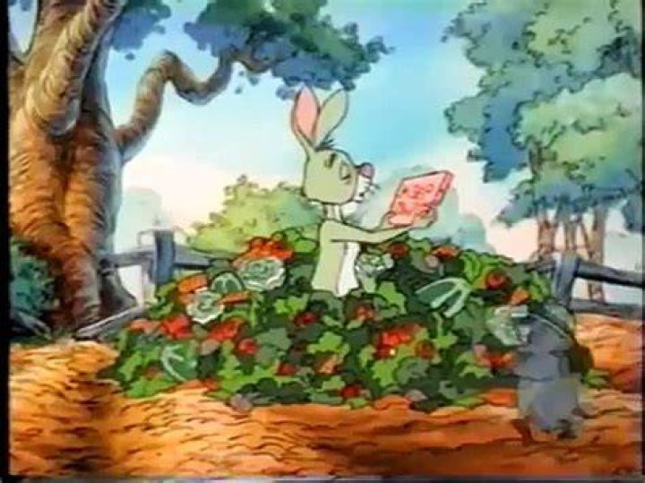 Miss Rabbit Pooh's Adventures Wiki Fandom