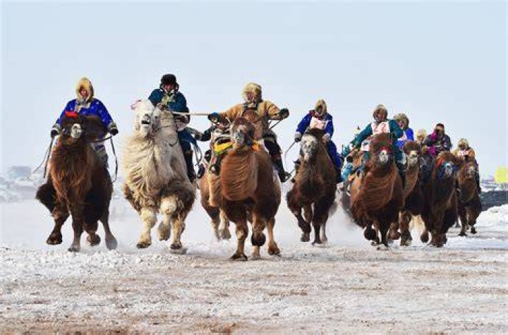 Mongolian winter Festivals