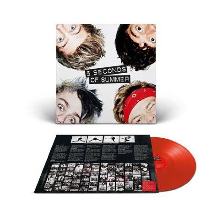 Moondoggies ReRelease Debut Album on Vinyl City Arts Magazine