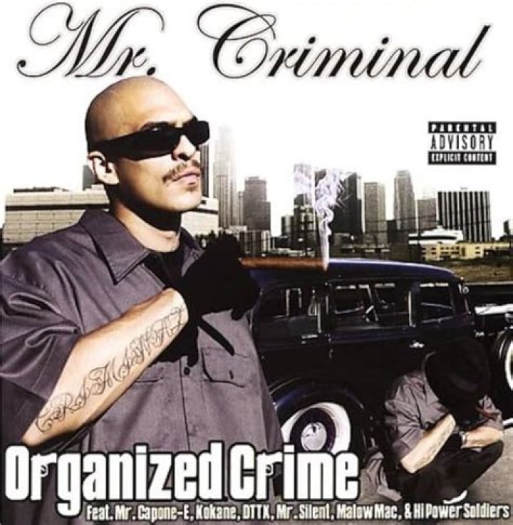 MR CRIMINAL Organized Crime Full Album 2004 HQ YouTube