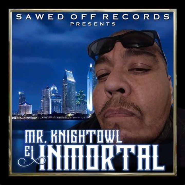 Mr Knightowl
