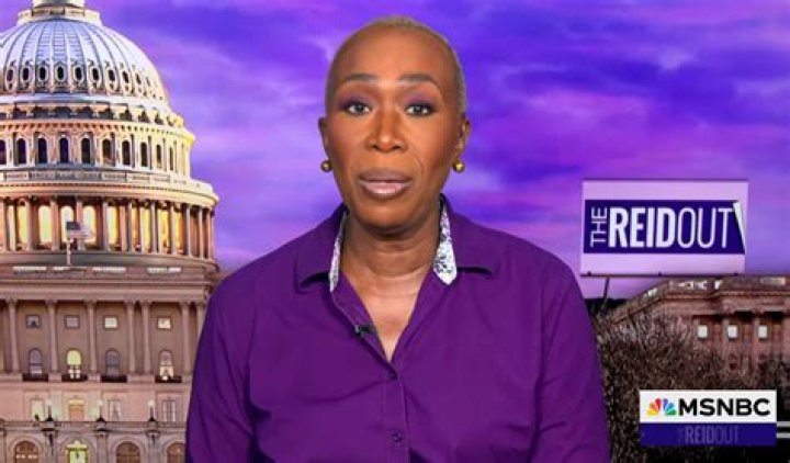 MSNBC host JoyAnn Reid claims her blog was after alleged