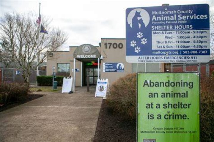 Multnomah County Animal Shelter — CARLETON HART ARCHITECTURE