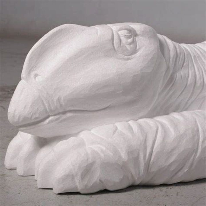 Muttaburrasaurus Dinosaur Sleeping Sculptures In Australia