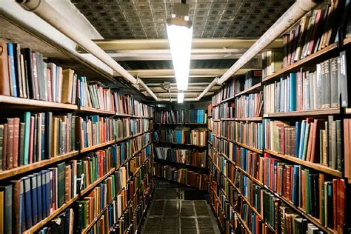Natasha Ward The Library Fandom