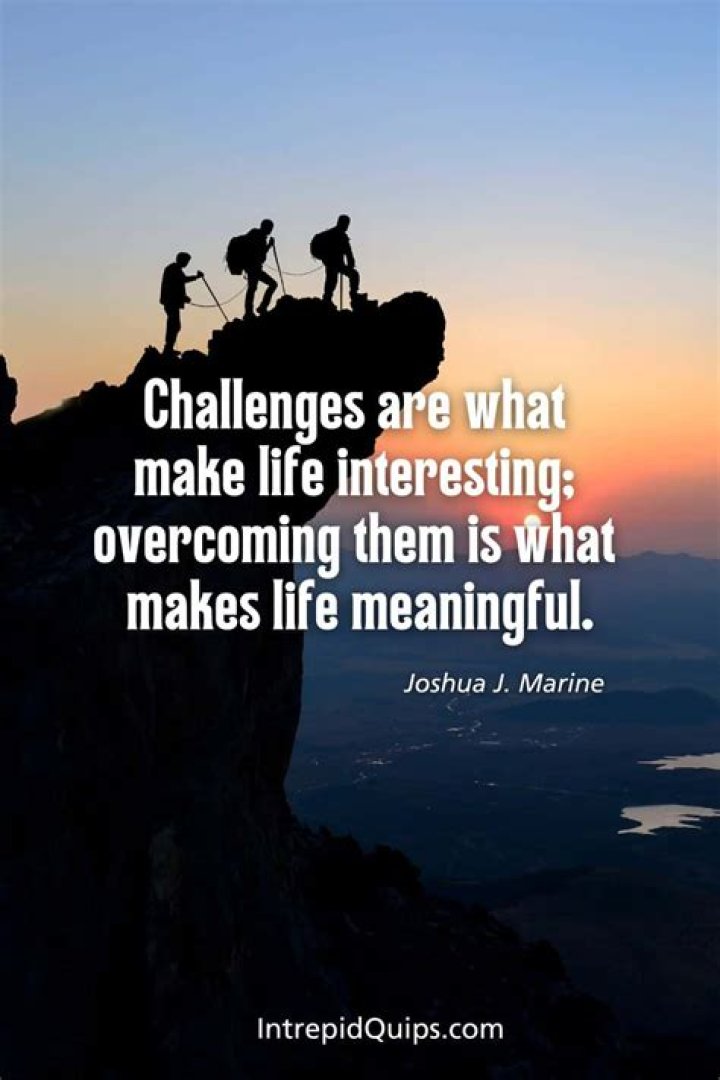 Navigating the Journey The Challenges and Triumphs of Parenting a