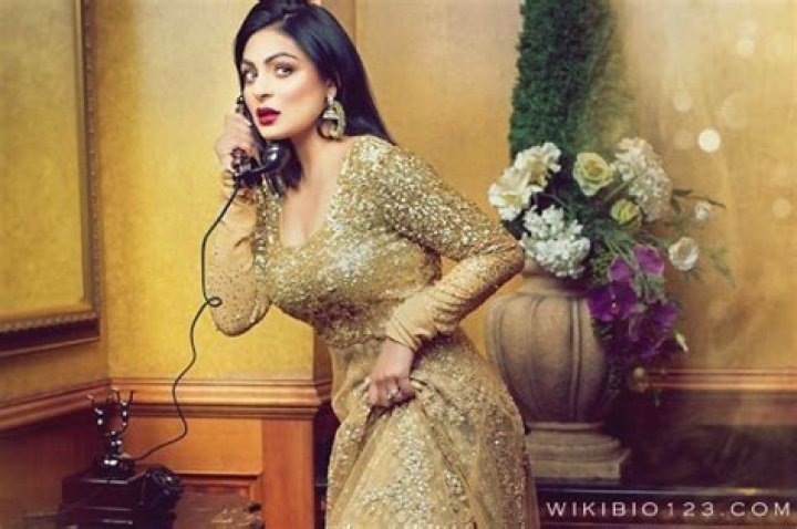 Neeru Bajwa wiki Bio Age Figure Size Height Affair HD Images Wallpapers