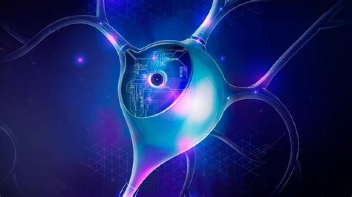 Neurons Decoded The Universal Workflow Powering Brain Insights