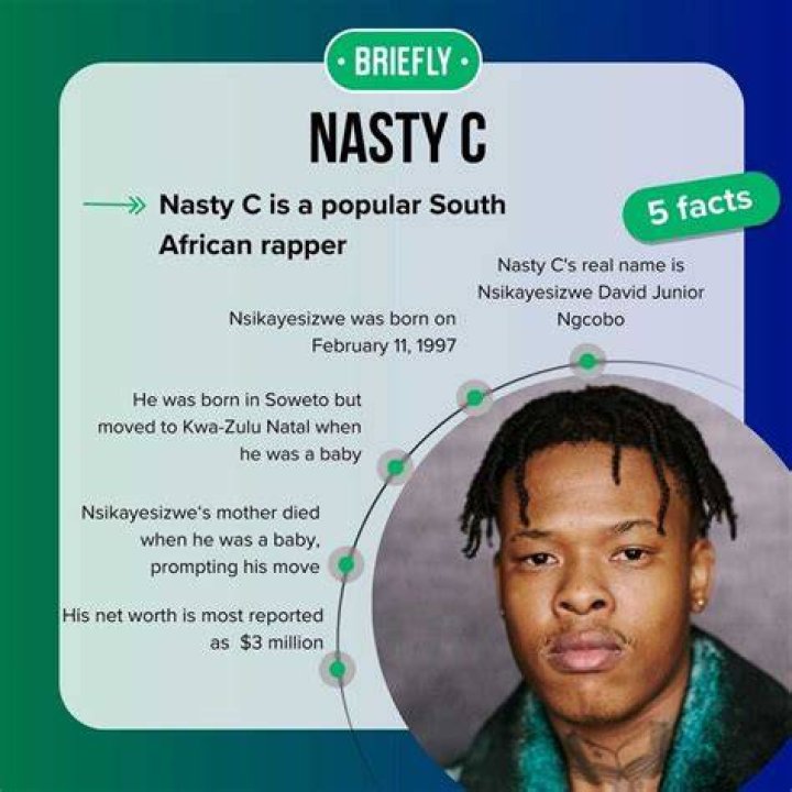 New Nasty C Net Worth 2024