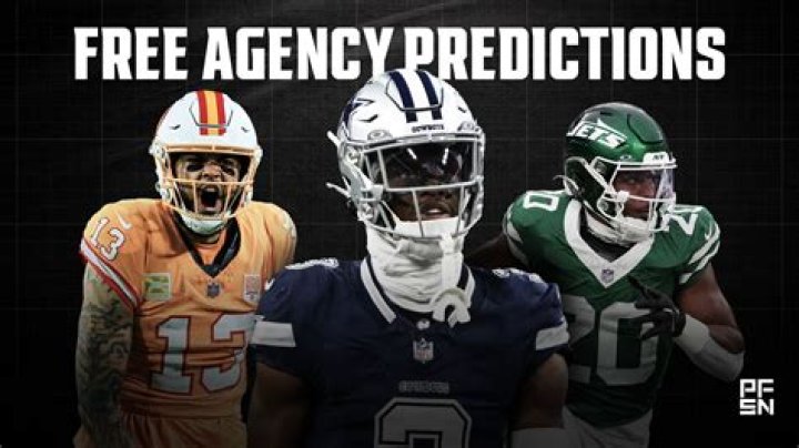 NFL Free Agency Where Will Pat Williams Land Next Year? News, Scores