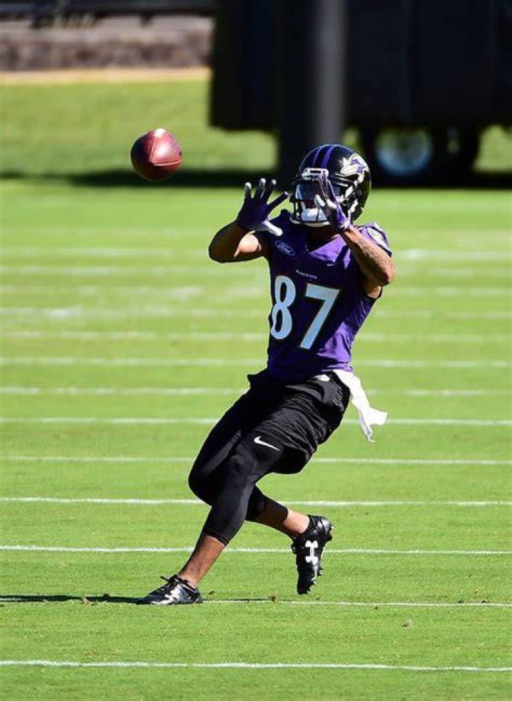 NFL Joe Horn Jr. trying to follow father, catch on with Ravens