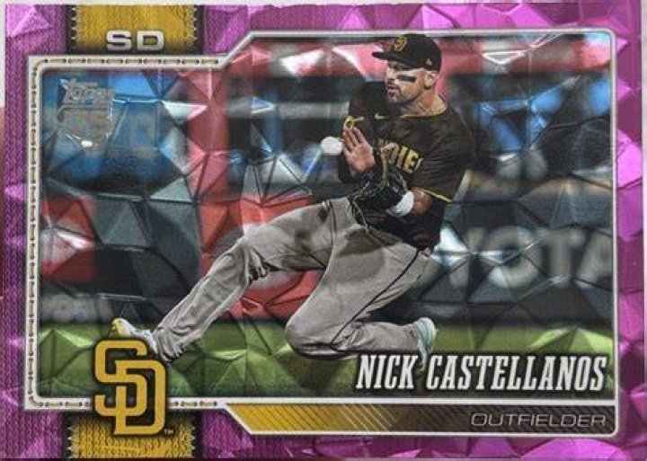 Nick Castellanos' Wife Vanessa Castellanos
