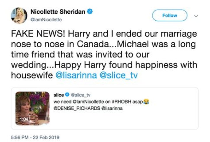 Nicollette Sheridan Denies Cheating on ExHusband Harry Hamlin