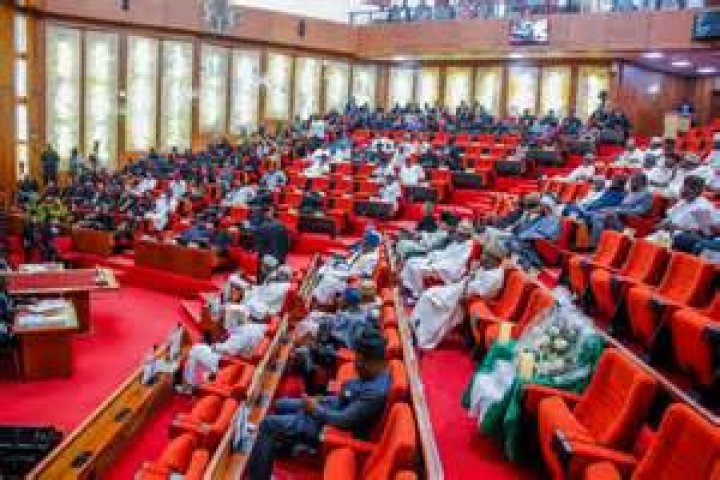 Nigerian Senate rejects Ben Bruce's Electric Car Bill, says it's