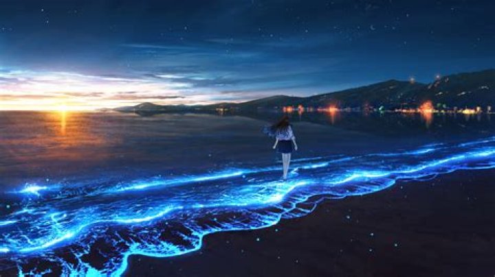 Night Sea Wallpapers Wallpaper Cave