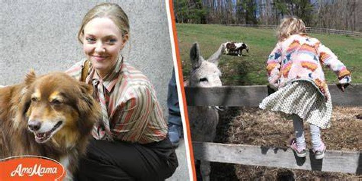 Nina Sadoski Seyfried Is Her Mother&rsquo;s Helper Meet Amanda Seyfried&rsquo;s