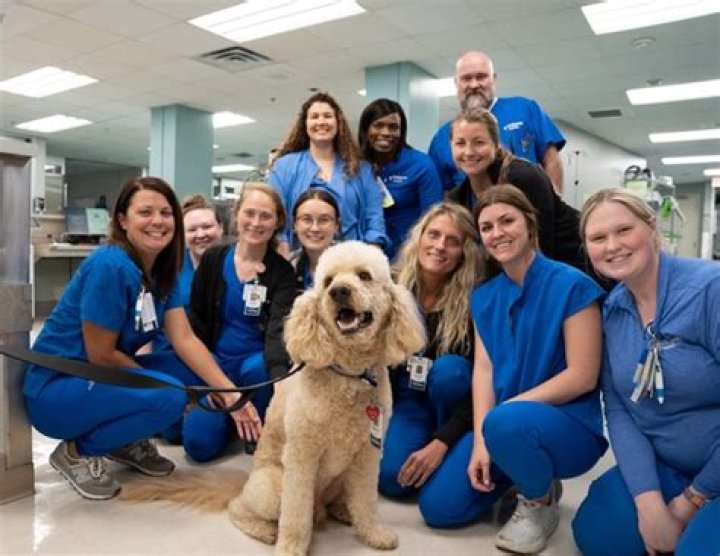Ochsner Rush Health Celebrates One Year with Ochsner Health