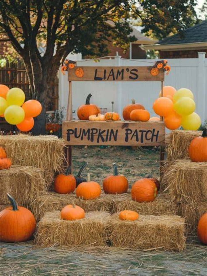 October Blog Pumpkin Parties, A Dream Bedroom Makeover, and Go Jets Go