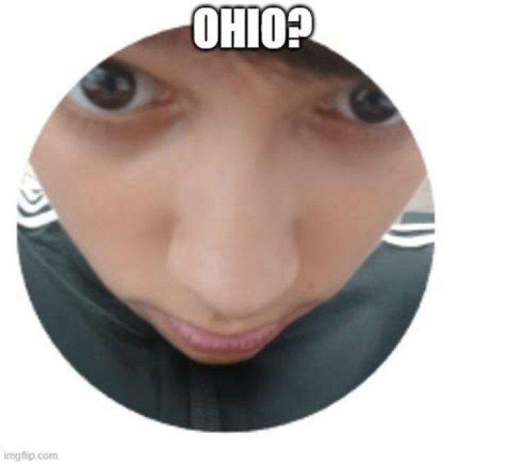 Ohio Imgflip