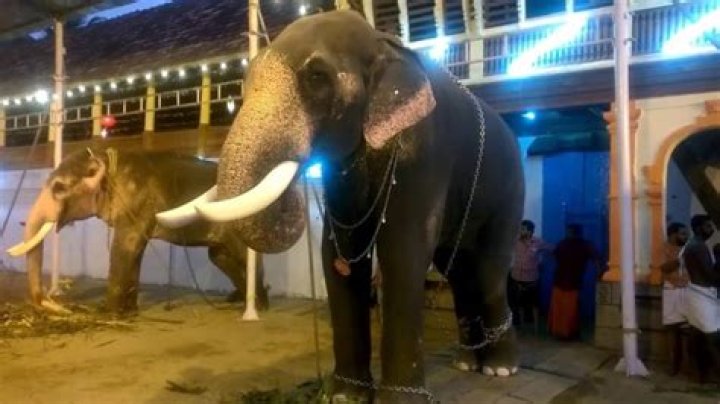 Olarikkara Kalidasan Death Cause