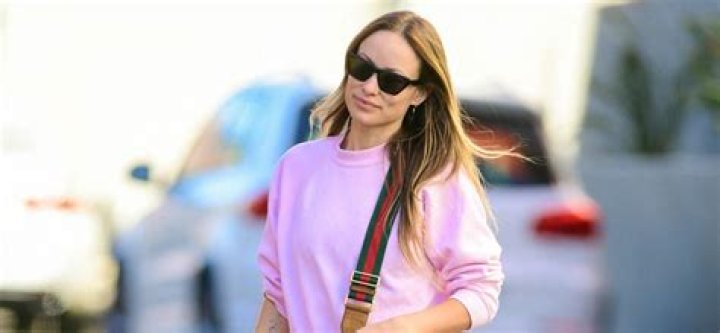 Olivia Wilde slammed for 'homophobic' comments in past interviews as