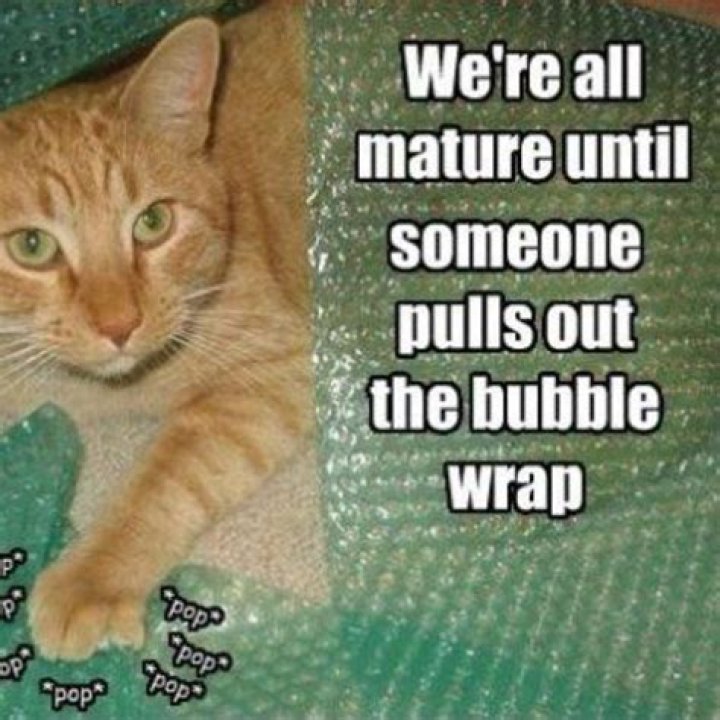 One Minute Spent Popping Bubble Wrap Relieves as Much Stress as a Half