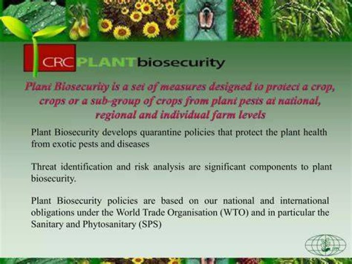 Our team Phytosanitary Risk Science