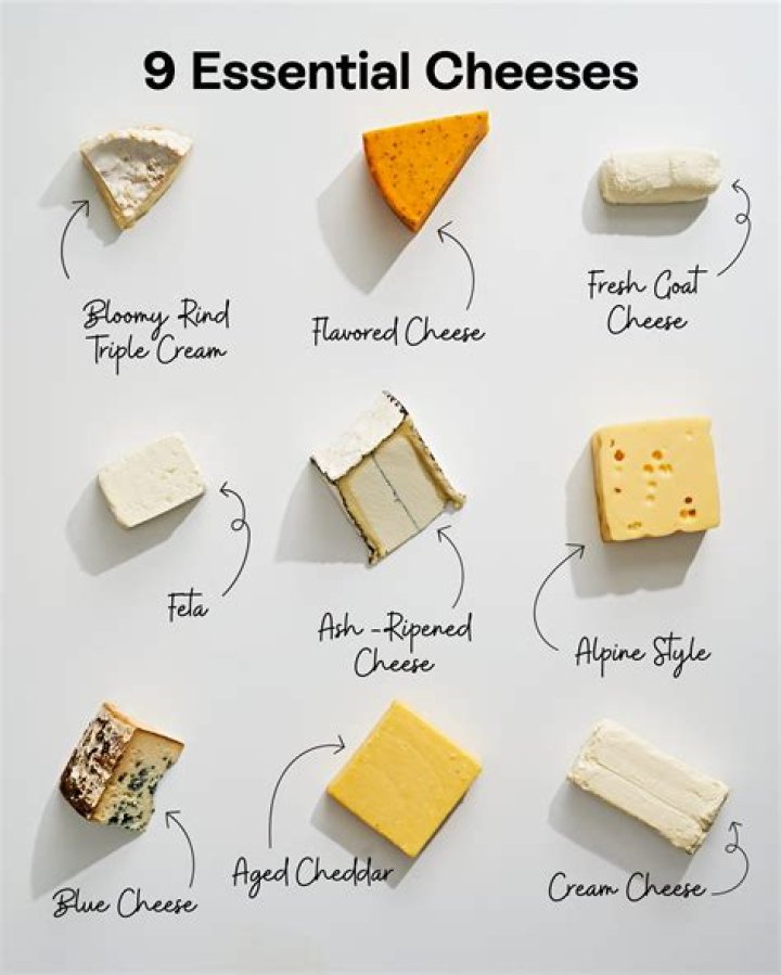 Overview of the Best Cheese Graters