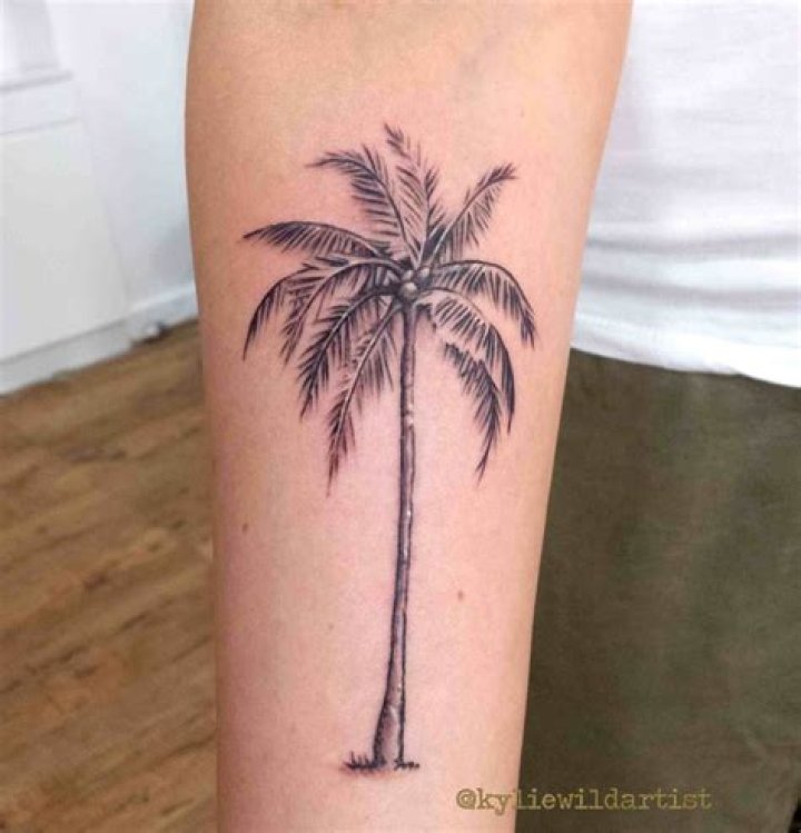 Palm tree tattoo tattoo tatuaje ink Palm tattoos, Palm tree