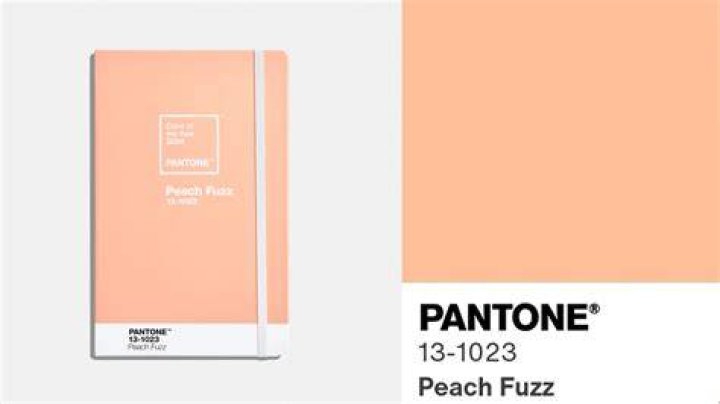 Pantone colour of the year ultra violet! and contemplative