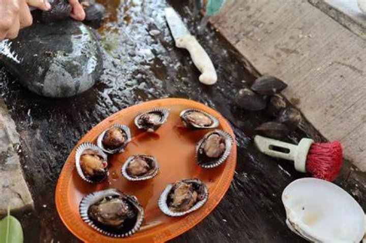 Pata De Mula!!!! In english, "Bloody Clams".... SUper delicious! Yelp